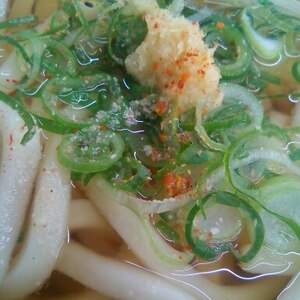 ネギと生姜のぶっかけうどん♪